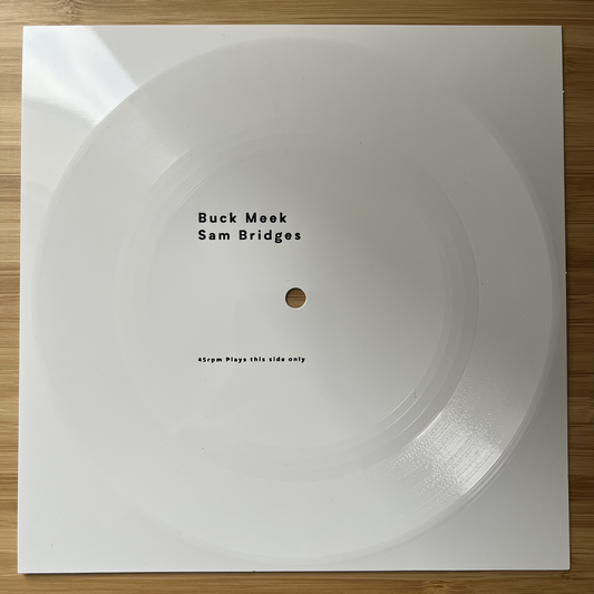 Buck Meek - Sam Bridges