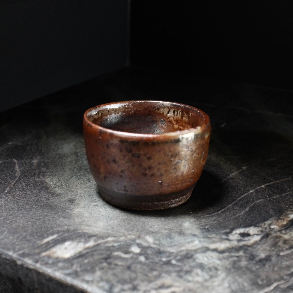 Hrishikesh Hirway - In the Last Hour of Light