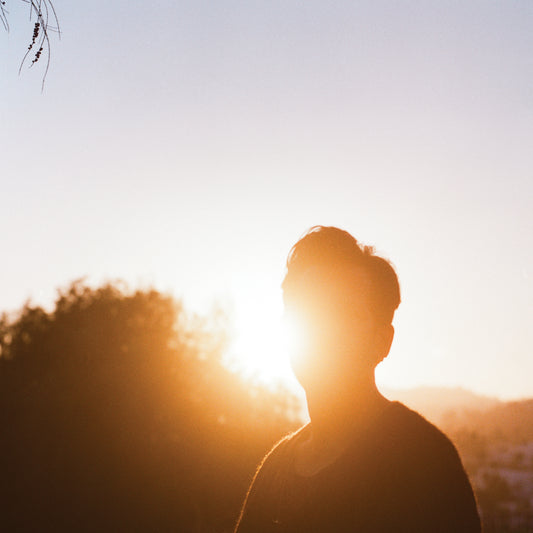 Hrishikesh Hirway - In the Last Hour of Light