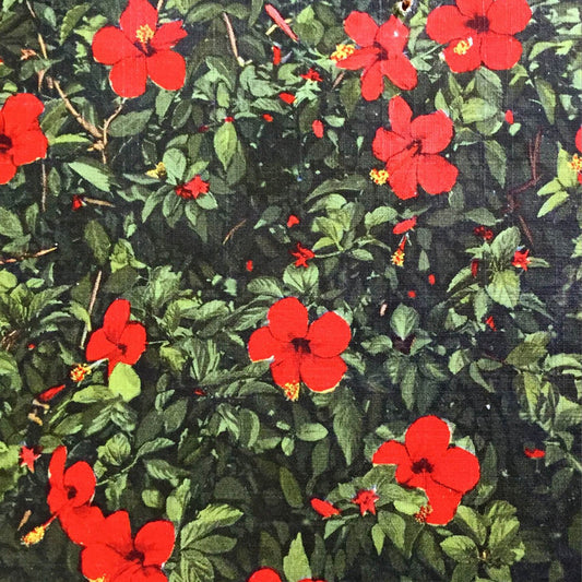 Real Live Tigers - Denatured