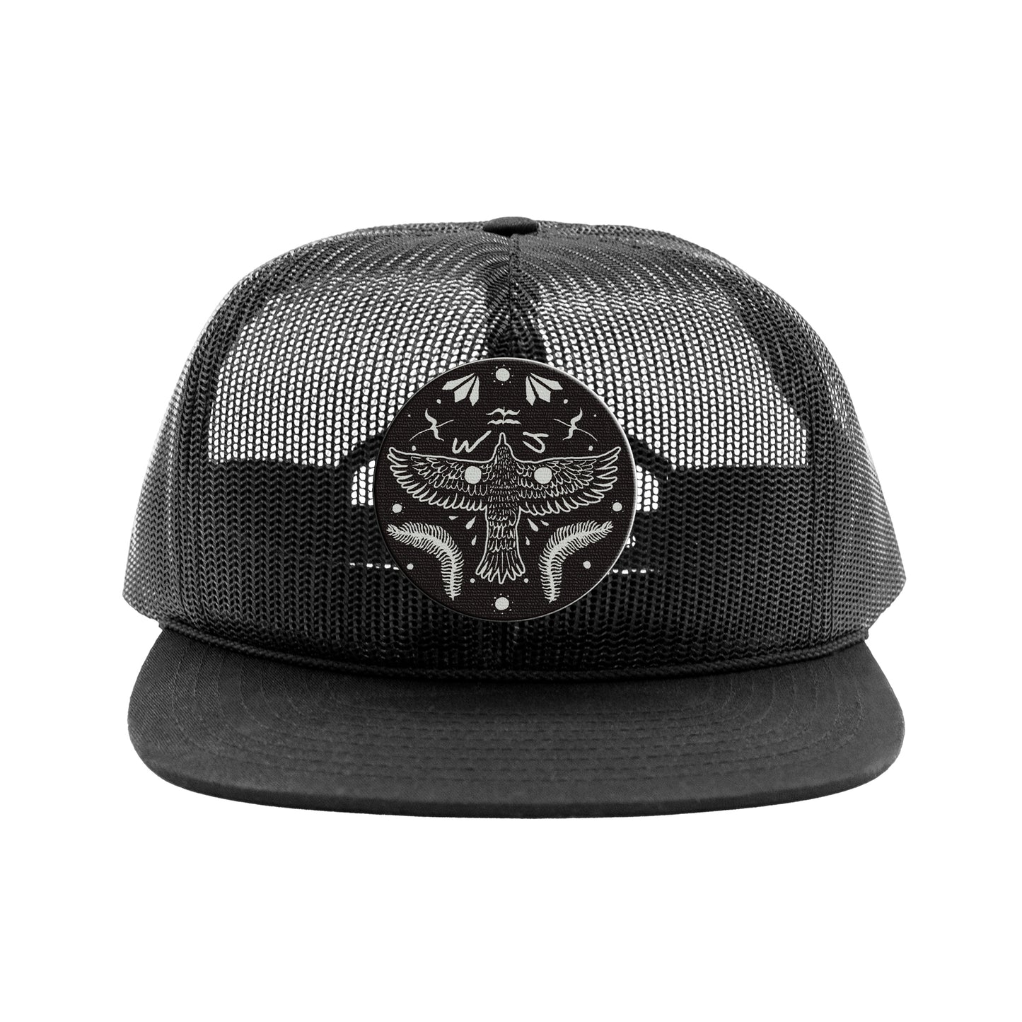 Will Johnson - No Ordinary Hat