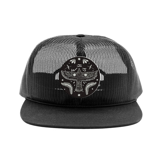 Will Johnson - No Ordinary Hat