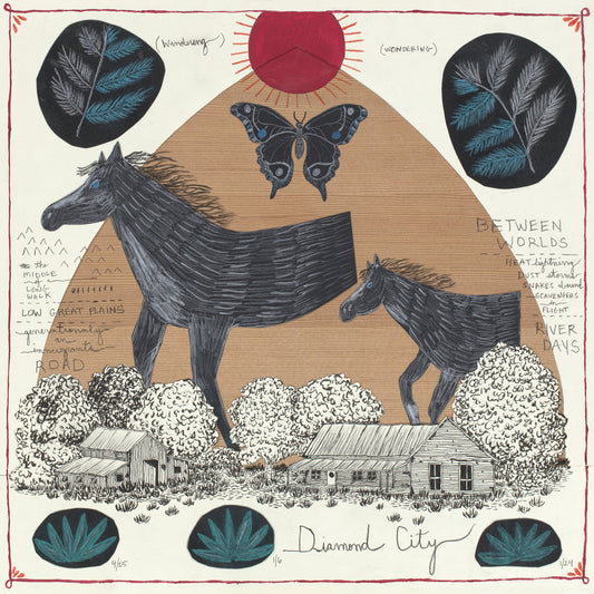 Will Johnson - Diamond City