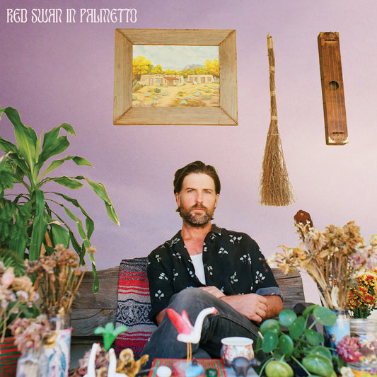 RF Shannon - Red Swan in Palmetto