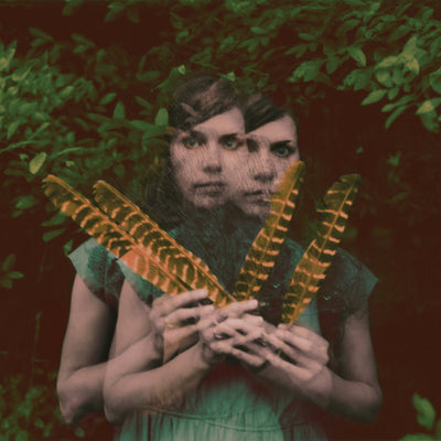 Dana Falconberry