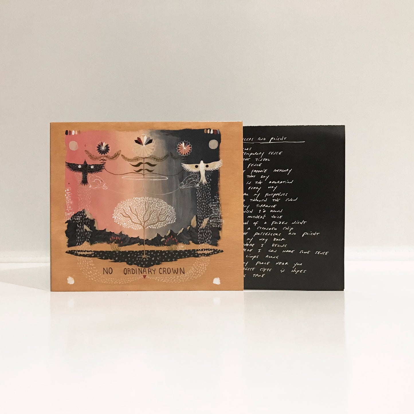 Will Johnson - No Ordinary Crown