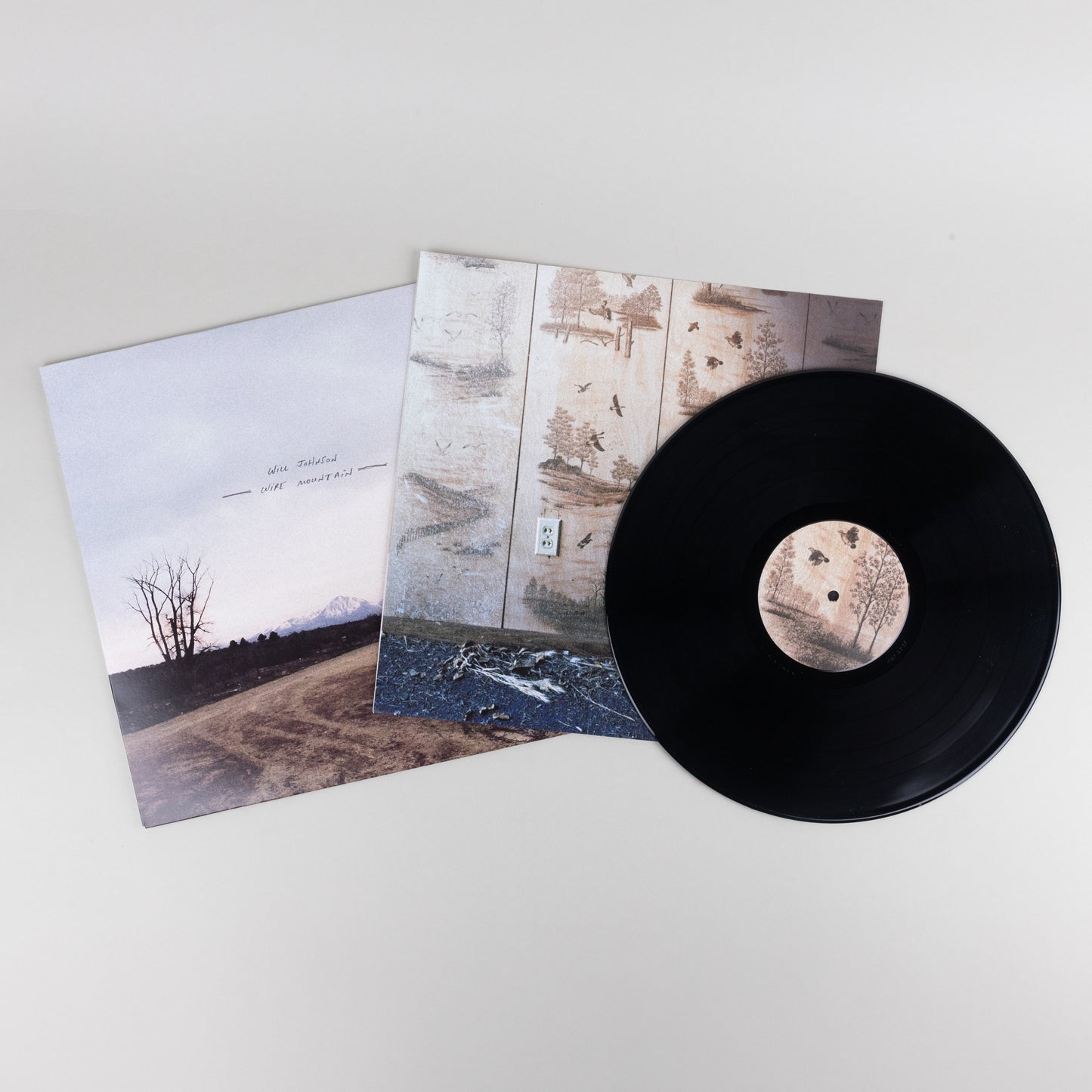 Will Johnson - Wire Mountain