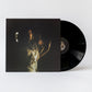 Karima Walker - Waking the Dreaming Body