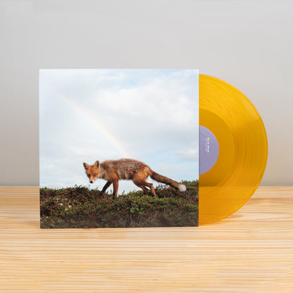 Buck Meek - Buck Meek