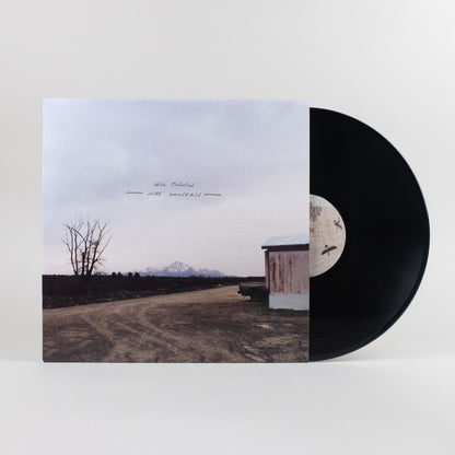 Will Johnson - Wire Mountain