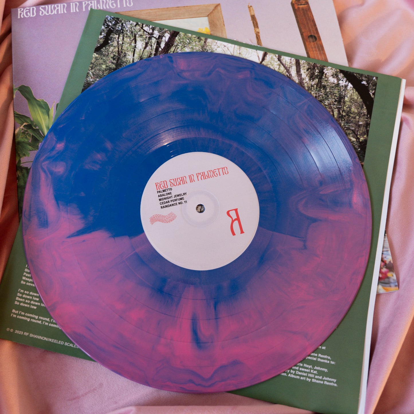 RF Shannon - Red Swan in Palmetto