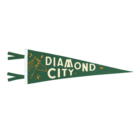 Will Johnson - Diamond City Pennant