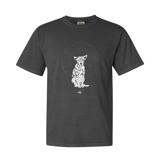 Hrishikesh Hirway - Stray Dog T-Shirt